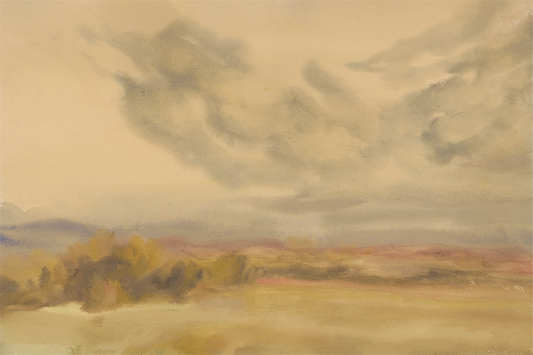 Cloudy Plains