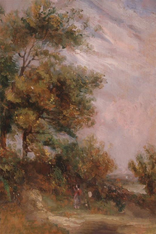 Elm Trees