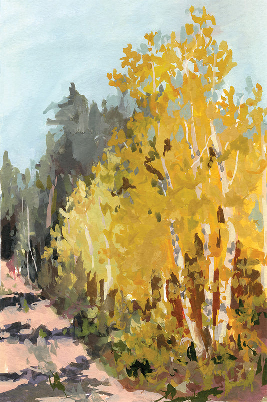 Gold Hill Aspens
