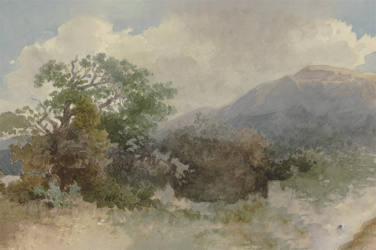 Mountain Grove