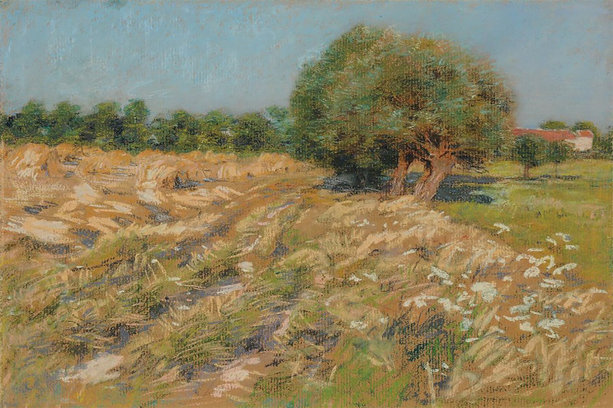 The Farm Path