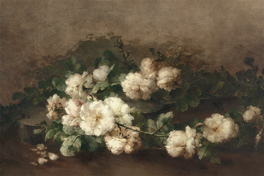 White Roses