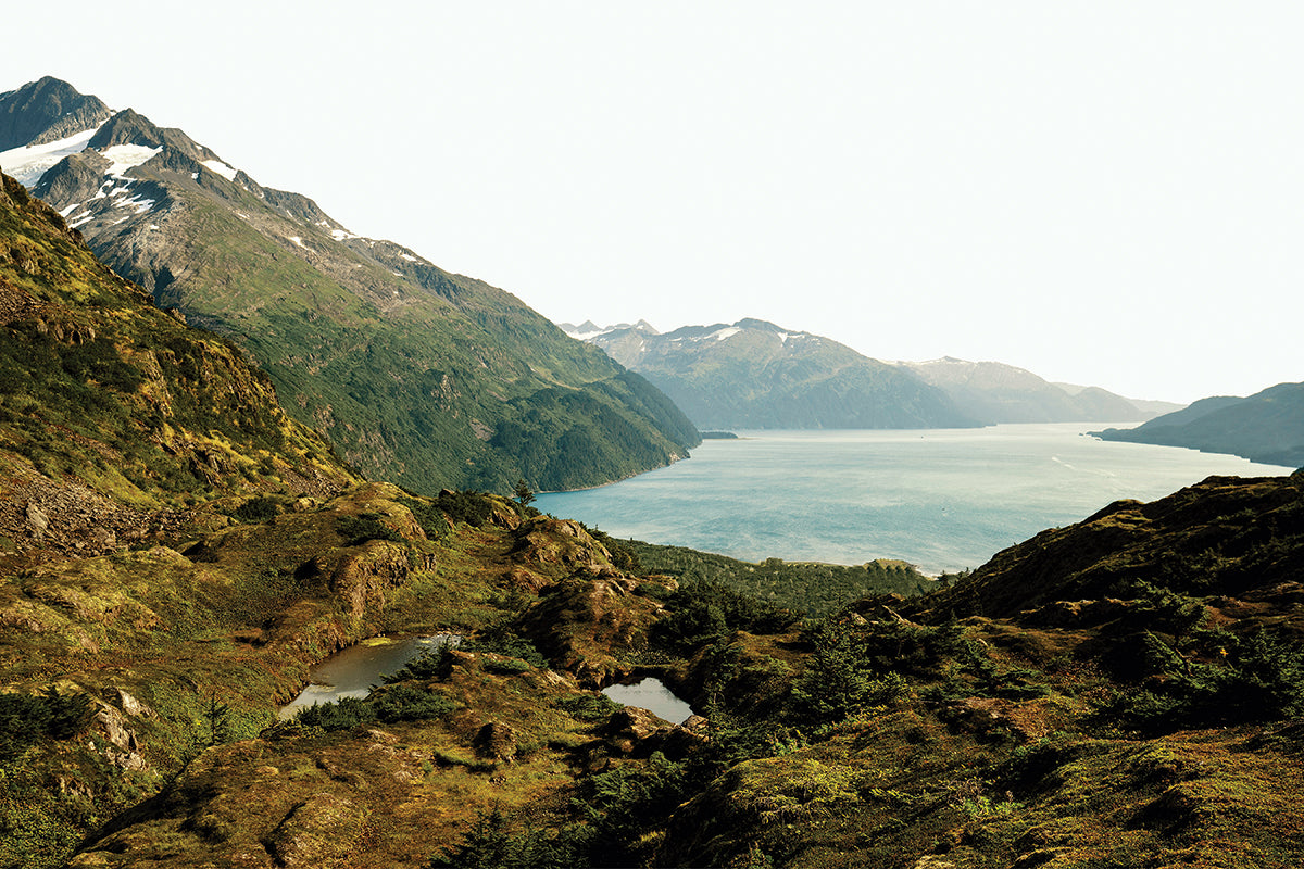 Alaska Landscape Print Western Denim Jacket - ShopperBoard