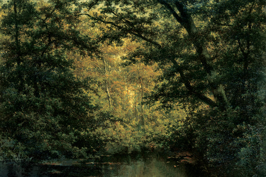 Black Forest