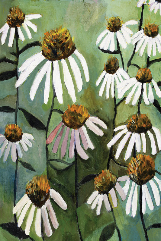 Coneflower