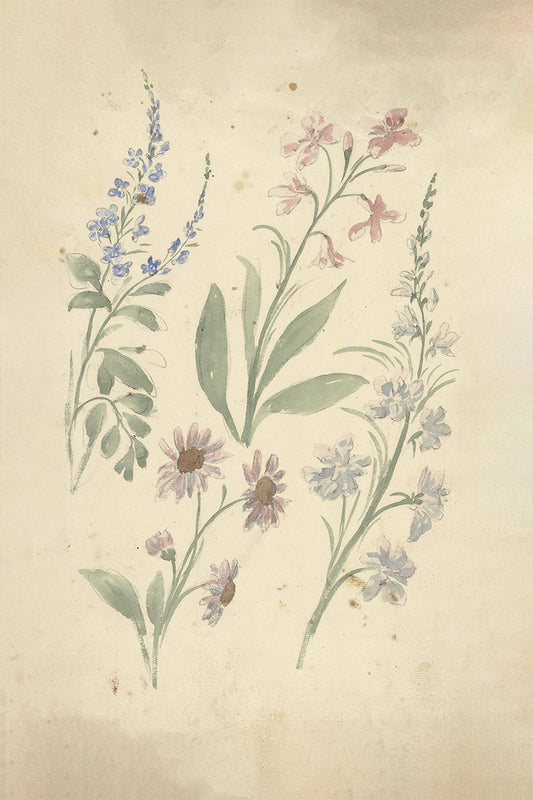 Floral Sketch I