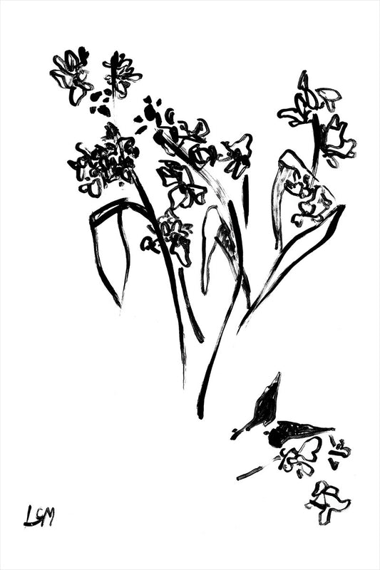 Hyacinth