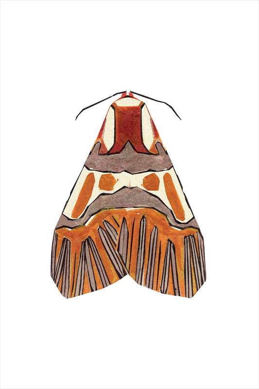 Moth I