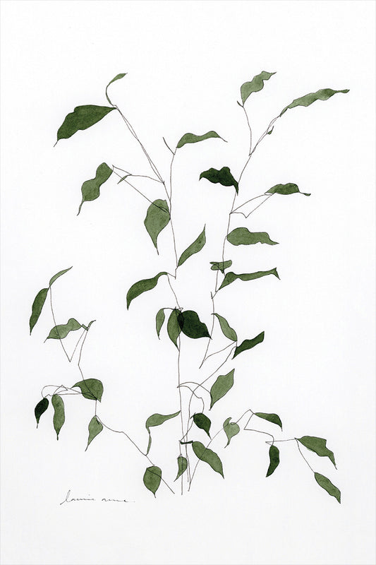 Sprig III