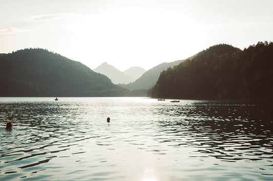 Swimmers