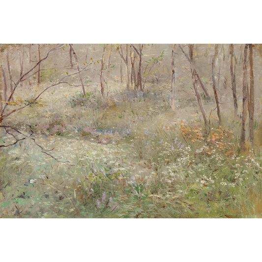 Wild Parsley