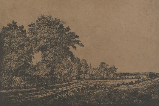 Bronze Field