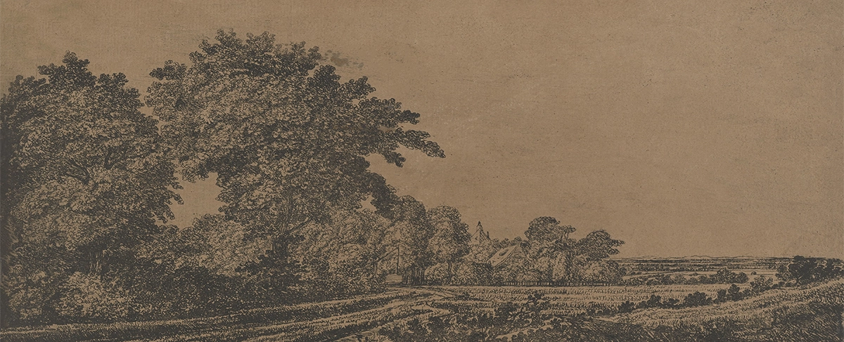 Bronze Field