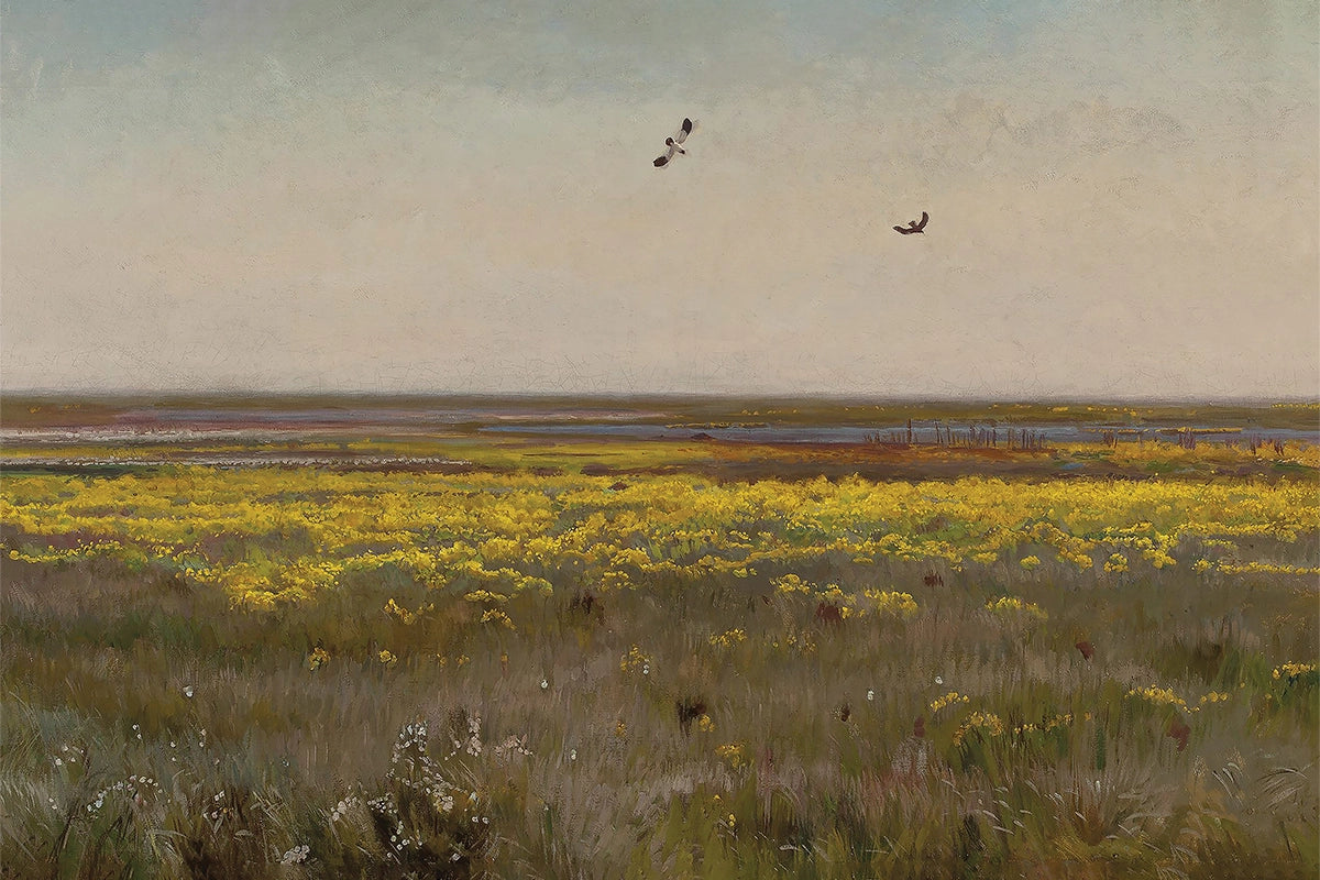 Cowslips I