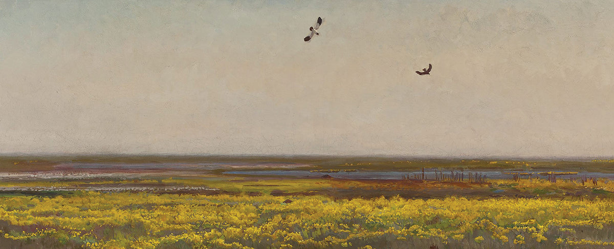 Cowslips I