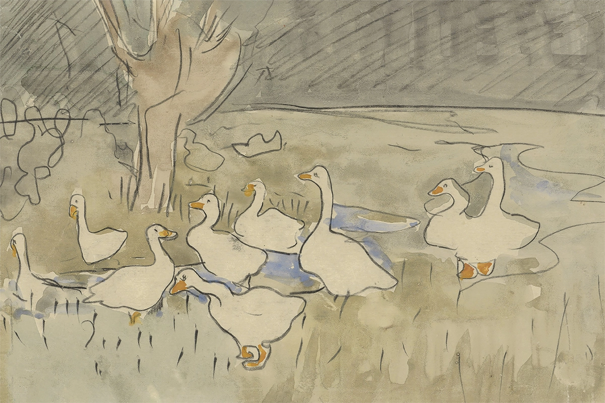 Ducks