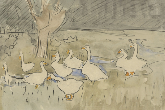 Ducks