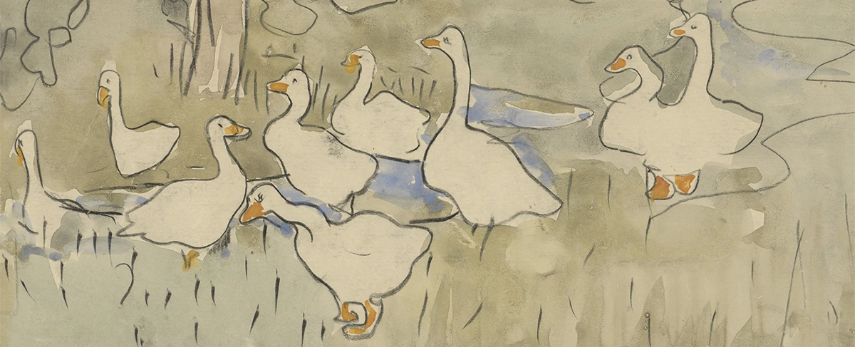 Ducks