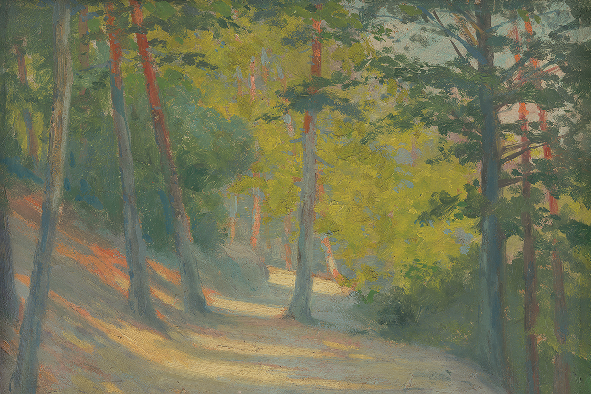 Forest Path