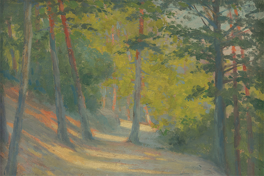Forest Path