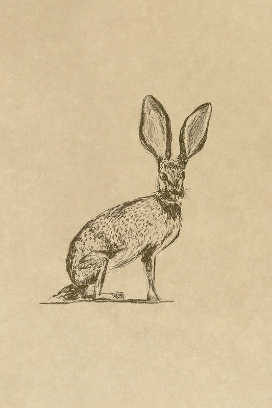 Hare