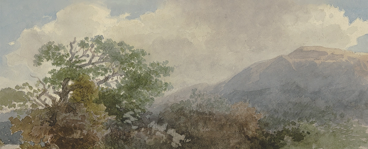Mountain Grove