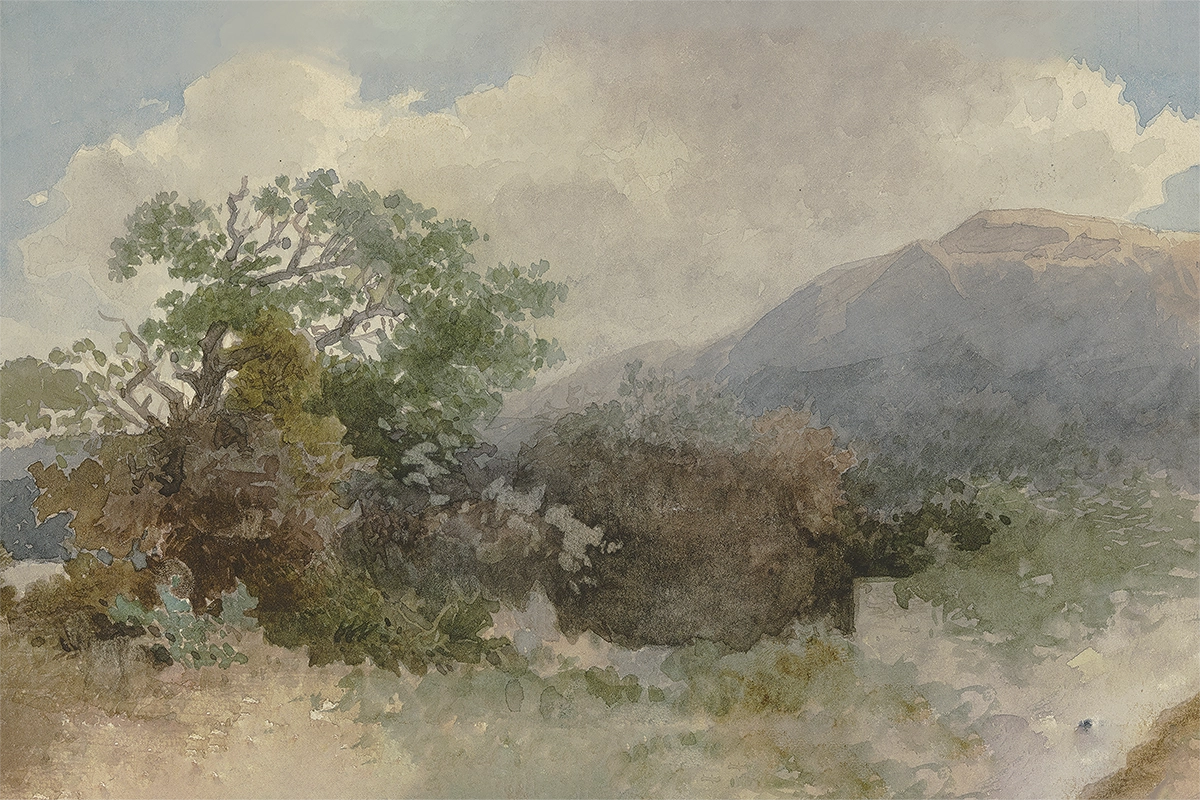 Mountain Grove on Canvas | 12x30
