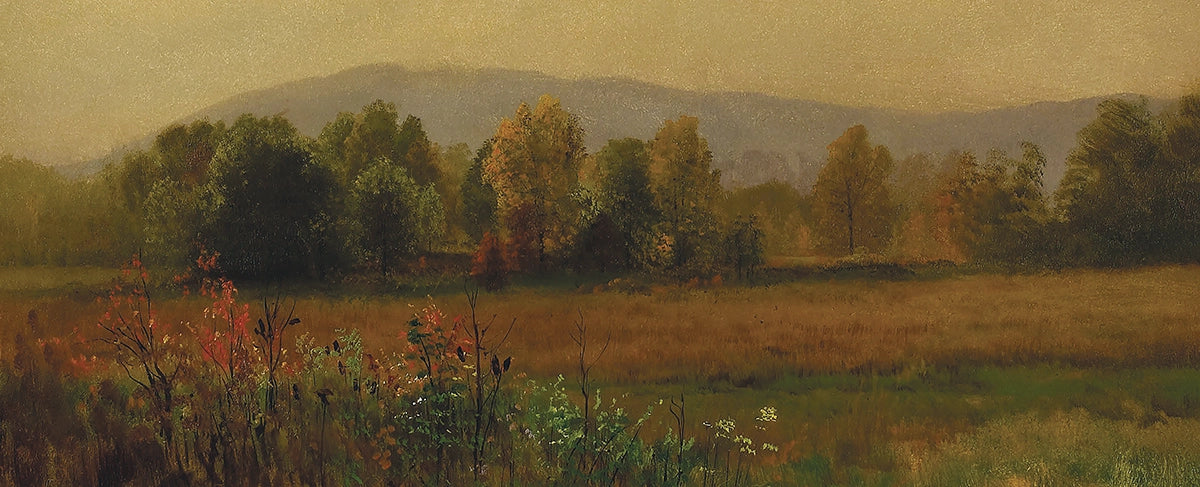 Painted Meadow