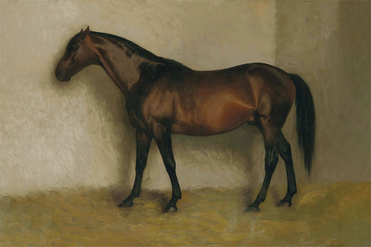 Racehorse