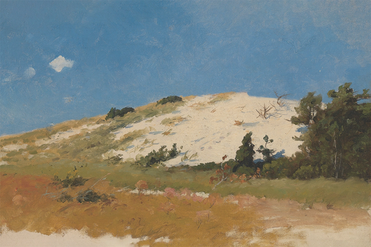 Sand Dune