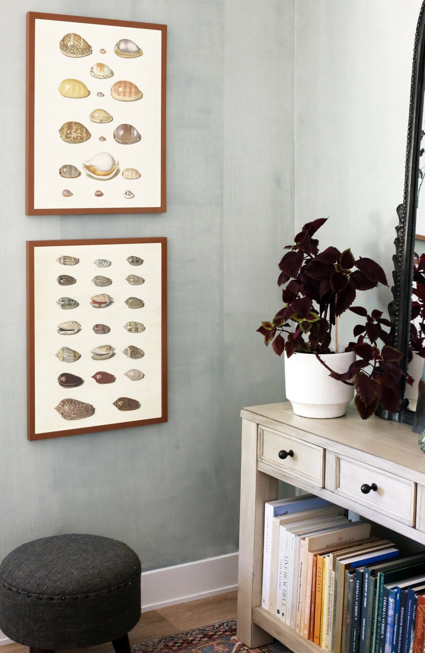 Shells II – Juniper Print Shop