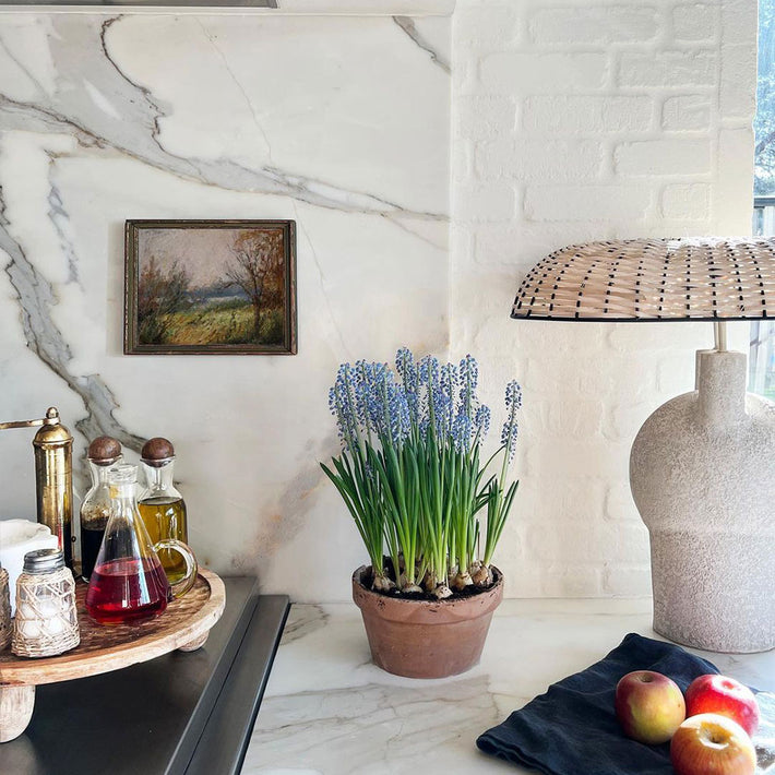 About Juniper Print Shop