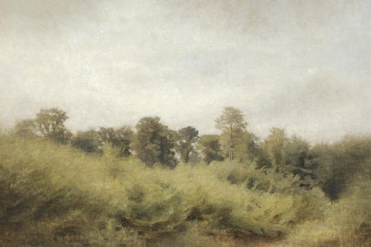 Summer Hills