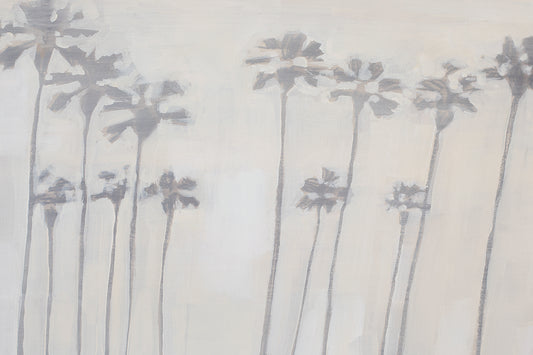 Hazy Palms
