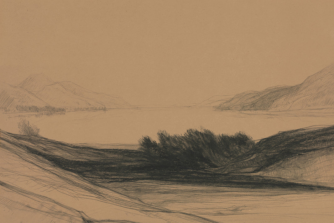 Swan Juniper Print Shop