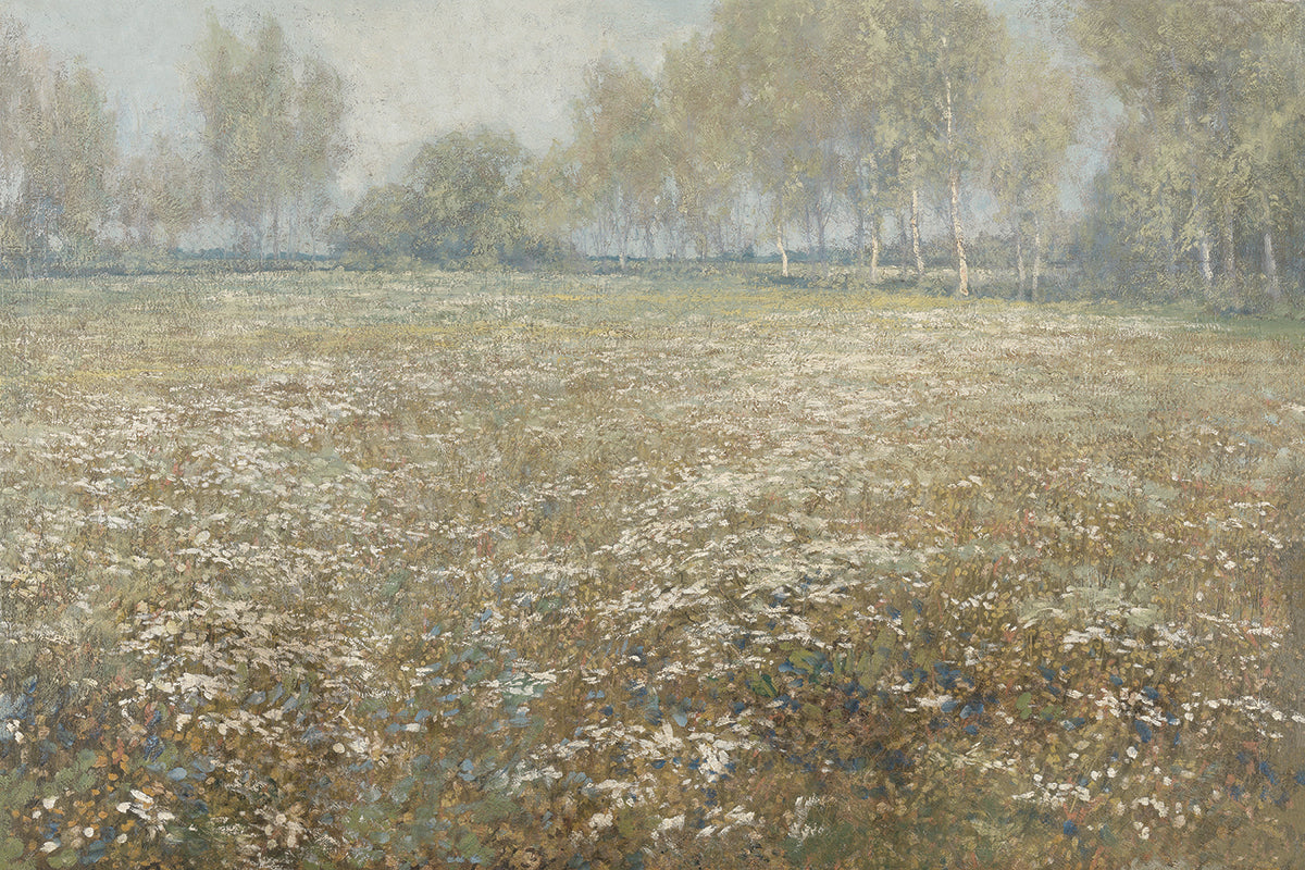 Meadow In Bloom