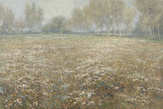 Meadow In Bloom
