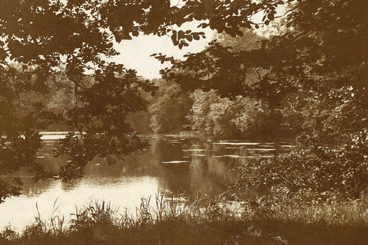 Mulberry Pond